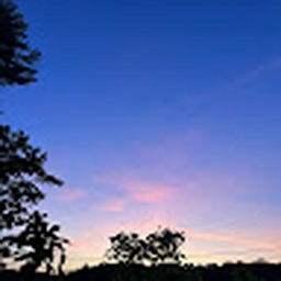 Avatar of user Saminoski