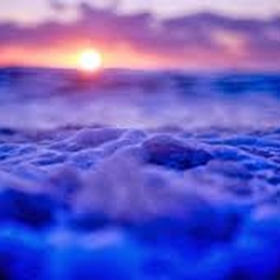 Avatar of user MusicVibe667