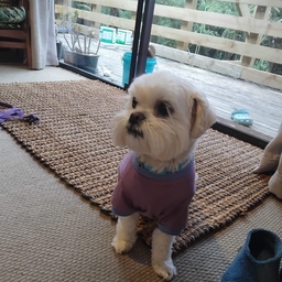 Avatar of user LSKYMB