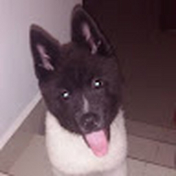 Avatar of user Melissa1106