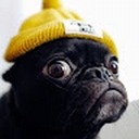 Avatar of user floreslogan