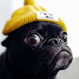 Avatar of user floreslogan