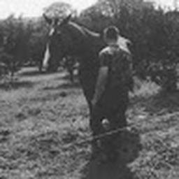 Avatar of user elfolirou