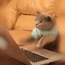 Avatar of user DJ VOEDROK