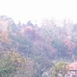 Avatar of user tumalux