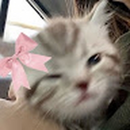 Avatar of user Baby_Heart916