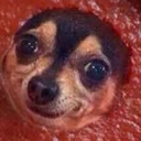 Avatar of user Shemademusiconce