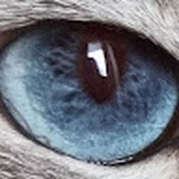 Avatar of user FaybelleTTV