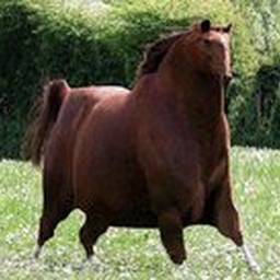 Avatar of user GottaGoob