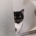 Avatar of user juicyboii