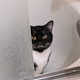 Avatar of user juicyboii