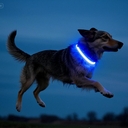 Avatar of user Knoggin