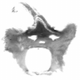 Avatar of user PRODIleftmykidsatthegasstation