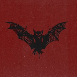 Avatar of user AlinaNRVazquez