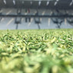 Avatar of user rubyplagiat