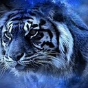 Avatar of user MRxRM