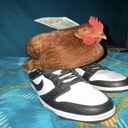 Avatar of user kimbokatt