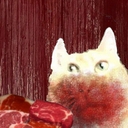 Avatar of user appikaa