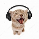 Avatar of user haydenng