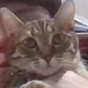 Avatar of user Mayonaise54