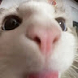 Avatar of user tuff121213123