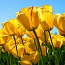 Avatar of user warlock33333