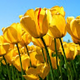 Avatar of user warlock33333