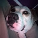 Avatar of user Lolbitlovesfood