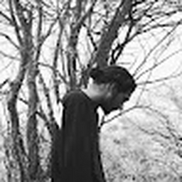 Avatar of user Gallll