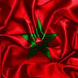 Avatar of user H-O-1