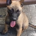 Avatar of user gdfhjg