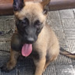 Avatar of user gdfhjg