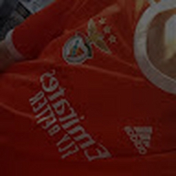 Avatar of user motoca