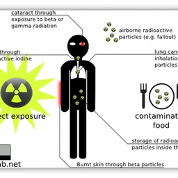 Avatar of user StudioLegend935