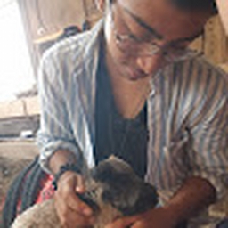 Avatar of user Jimmiboy