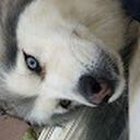 Avatar of user isaahzapata