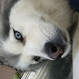 Avatar of user isaahzapata