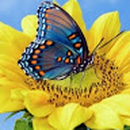 Avatar of user Itsjustmeneenee