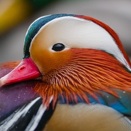 Avatar of user anna_da_queen