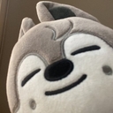 Avatar of user carolinenyerges