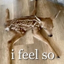 Avatar of user REAREDANTLERS