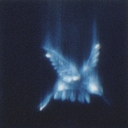 Cover of album The Wings Between Us by ZëRo