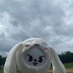 Avatar of user KnowJio