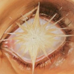 Avatar of user Angel-Tail