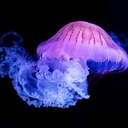 Avatar of user bigsis43742