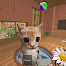 Avatar of user Ken1234