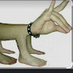 Avatar of user Dantheman67