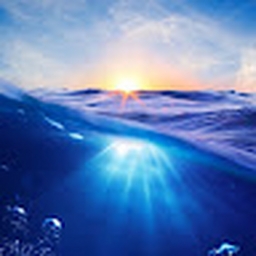 Avatar of user Nepenthe