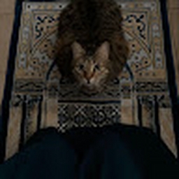 Avatar of user zerodeostmocyuj