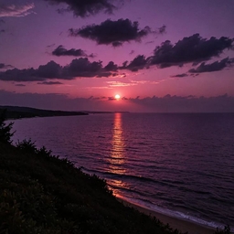 Avatar of user Mario